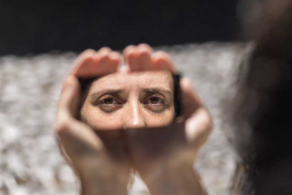 Metamorfose dos Pássaros – Catarina Vasconcelos