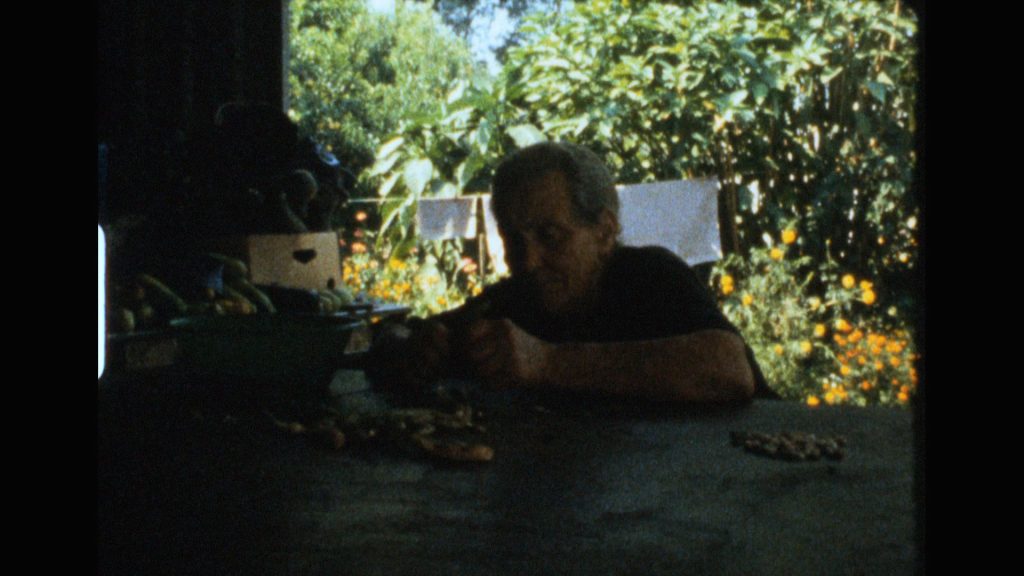 Não São Favas, São Feijocas – Tânia Dinis